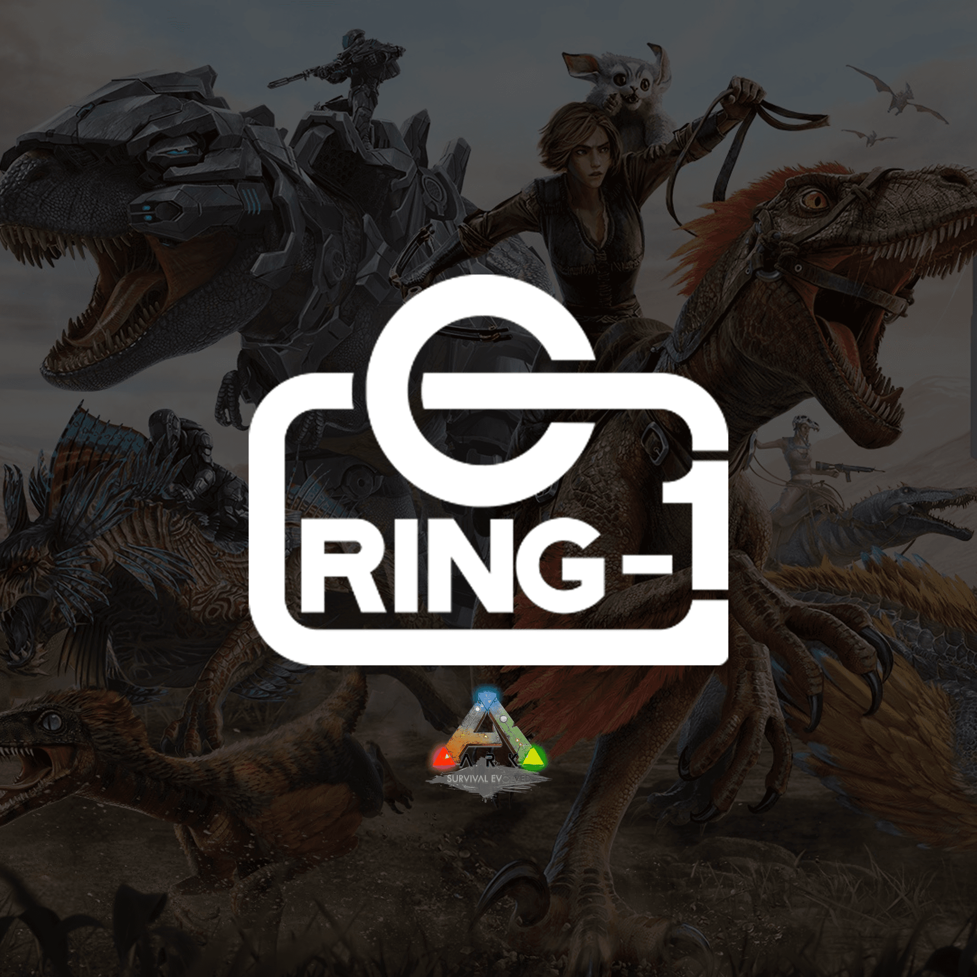 Ring 1